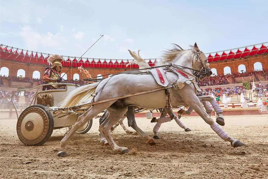 Les Epesses: Puy du Fou Theme Park 1-Day Entry Ticket - Who should book this one-day ticket?