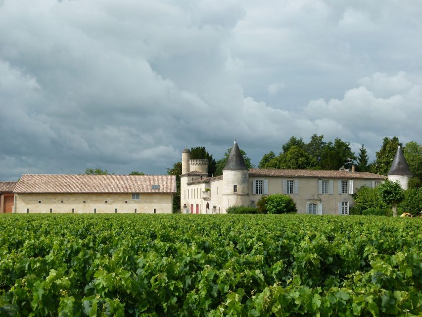 Libourne: Winery Tour with Wine and Chocolate Tasting - Is $21 good value?