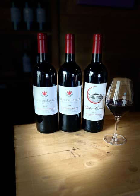 Libourne: Winery Tour with Wine and Chocolate Tasting - Language, group feel, and the right audience