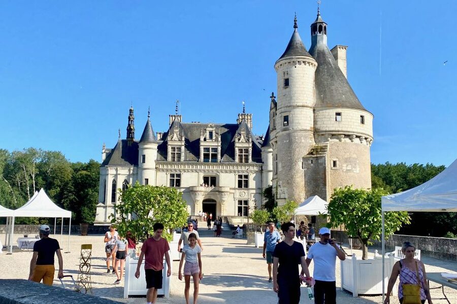 Loire Valley Castles: Chenonceau, Amboise & Da Vinci Trip - The ride south in a Mercedes minivan