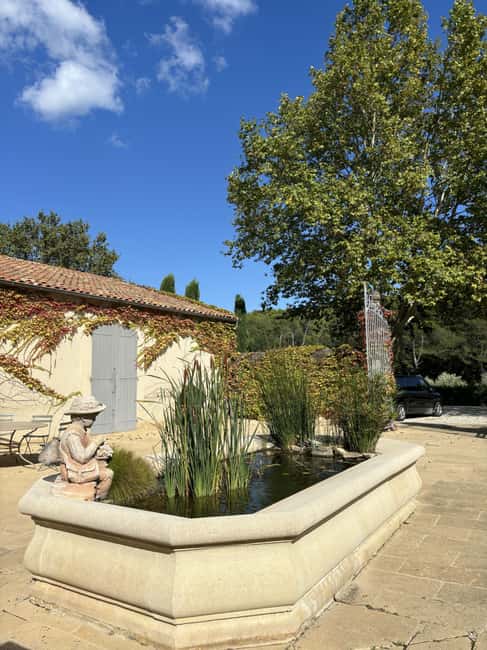 Luberon: Full-Day Wine Tour from Marseille - The second cellar and a broader taste of Provence