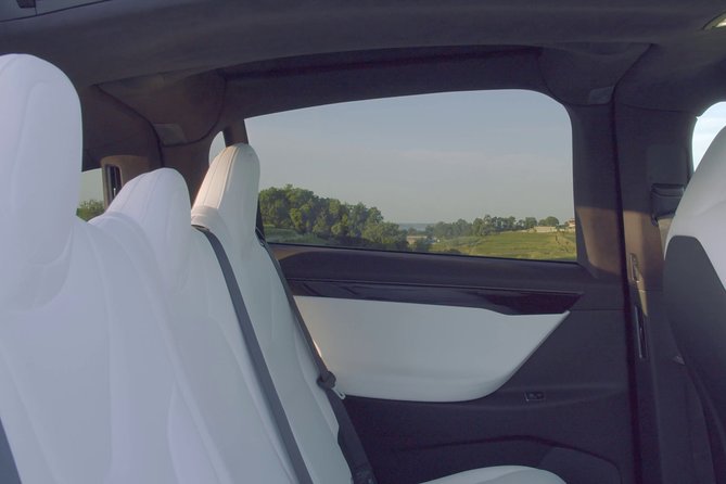 Luxurious full day Bordeaux wine tour in a Tesla - A private Bordeaux wine day, not a canned bus route