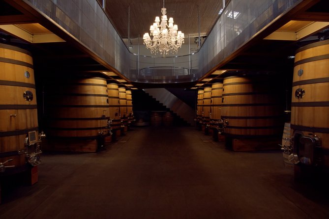 Luxurious full day Bordeaux wine tour in a Tesla - More than wine: time in the village