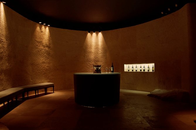 Luxurious full day Bordeaux wine tour in a Tesla - Médoc and Sauternes: possible, but clarify the route