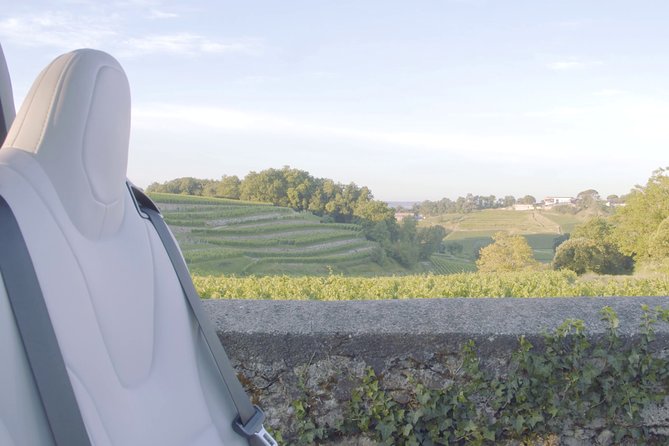 Luxurious full day Bordeaux wine tour in a Tesla - The guide is the heart of the experience