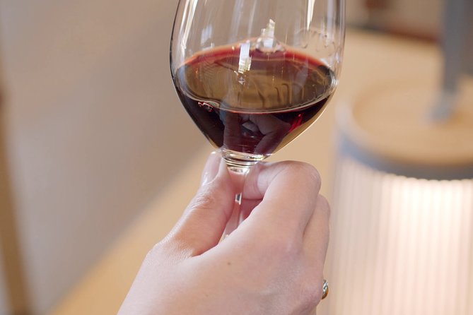 Luxurious full day Bordeaux wine tour in a Tesla - Lunch and tastings require a second budget