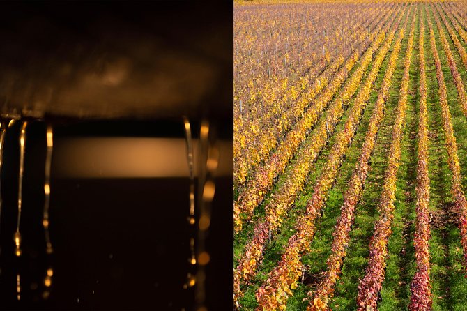 Luxury Luxury Wine Tour Experience - Three Estates, Three Points of View