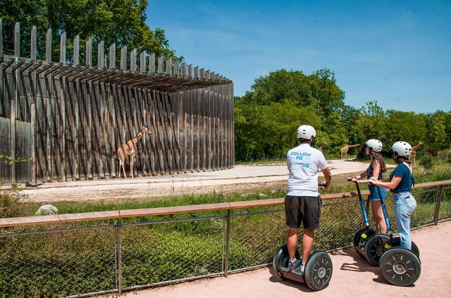 Lyon: City Segway Tour with a Local Guide - The Rhône embankment is the easiest stretch