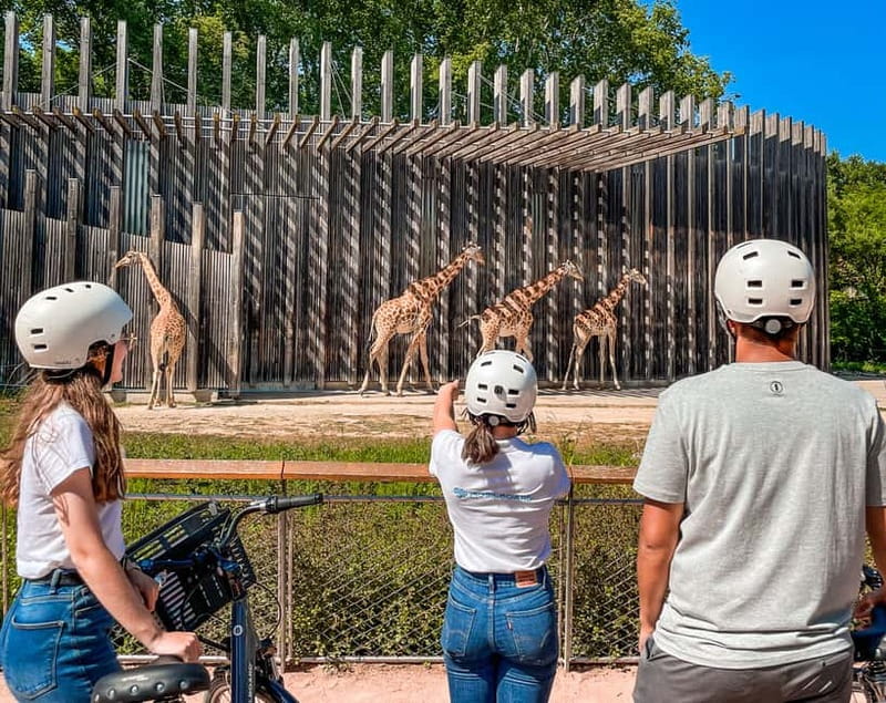 Lyon: Parc Tête d'Or eBike Tour - Riding beside the Rhône to the city’s green lung