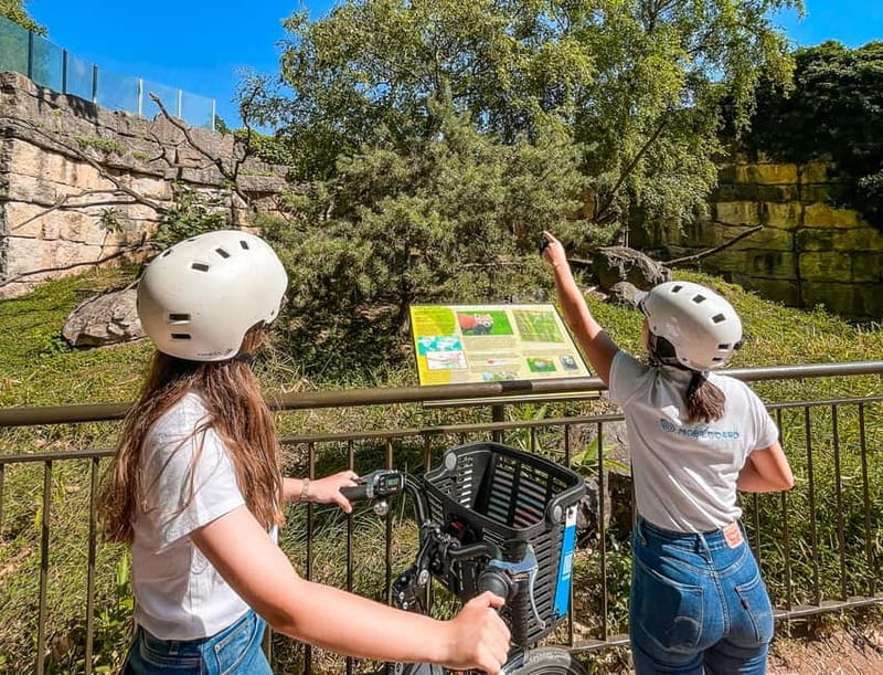 Lyon: Parc Tête d'Or eBike Tour - Who should book this Lyon e-bike tour?