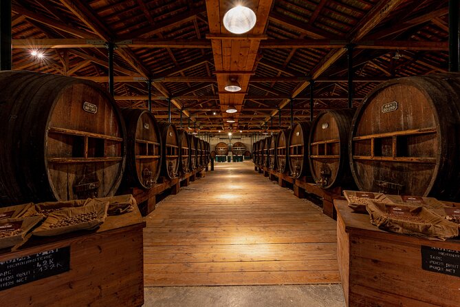 Maison Noilly Prat VIP tour, wine and vermouth tastings - Starting at the Maison Noilly Prat museum, bar, and shop