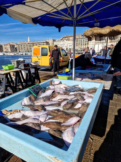 Marseille: découvrir la vieille ville avec un marseillais - Is the $25 price good value?