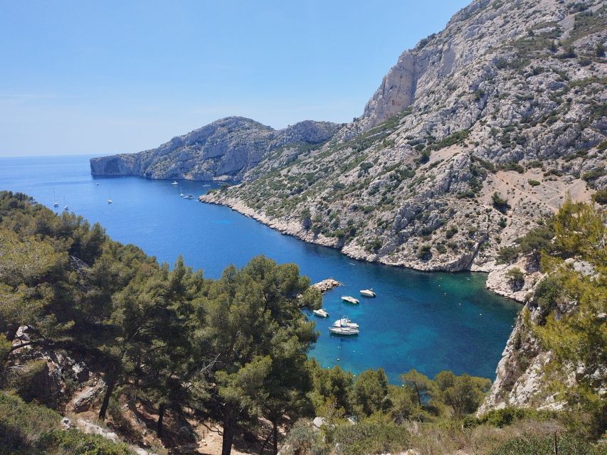 Marseille: Guided Hiking Calanques National Park from Luminy - Viewpoints, photographs, and the way down to the cove