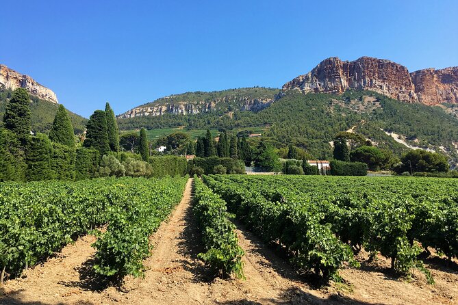 Marseille Shore Excursion - Full Day Wine Tour in Provence - Why this works well as a Marseille shore excursion