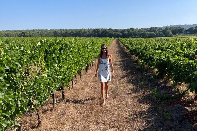 Marseille Shore Excursion - Full Day Wine Tour in Provence - The second winery and the ride home