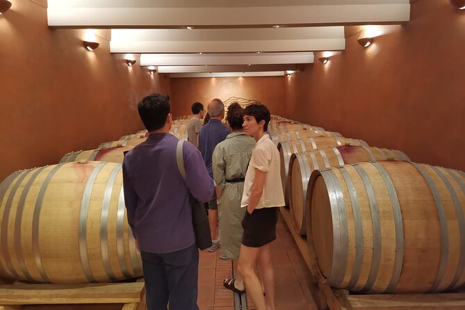 Marseille Shore Excursion - Full Day Wine Tour in Provence - What the $203 price includes