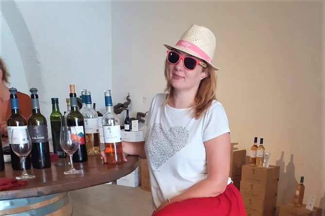 Marseille Shore Excursion - Full Day Wine Tour in Provence - Group size, age, and practical limits
