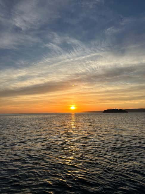 Marseille: Sunset catamaran cruise, buffet & drinks - Key points to know before boarding