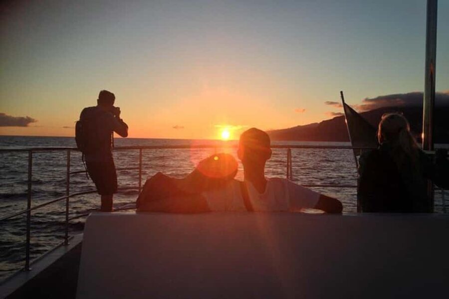 Marseille: Sunset catamaran cruise, buffet & drinks - Is $72 a fair price?