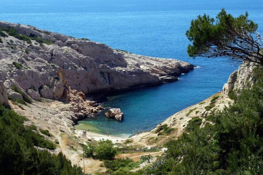 Marseilles: Private Custom Tour with a Local Guide - Museums and monument visits