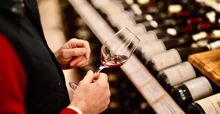 🍷 Masterclass Pinot Noir - Wine tasting in Dijon 🇫🇷 - Small Group Benefits and Physical Comfort
