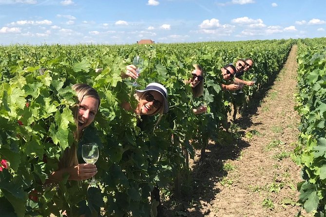 Medoc or Saint Emilion Wine Tasting and Chateau from Bordeaux - Choosing between Médoc and Saint-Émilion