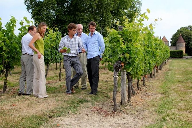 Medoc or Saint Emilion Wine Tasting and Chateau from Bordeaux - What the Médoc afternoon is like