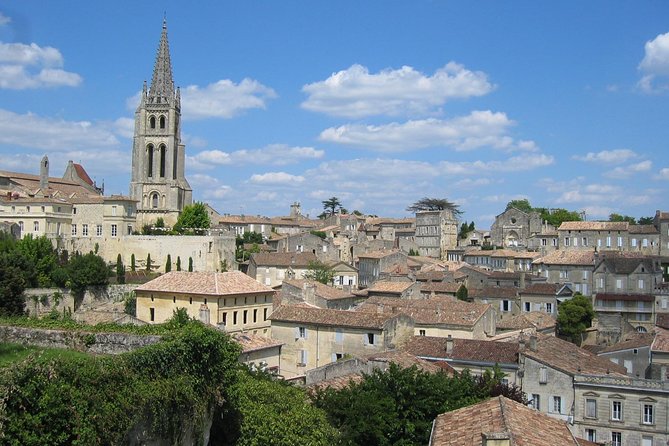 Medoc or Saint Emilion Wine Tasting and Chateau from Bordeaux - Practical details worth knowing