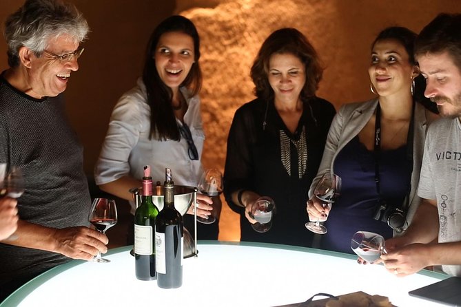 Medoc or Saint Emilion Wine Tasting and Chateau from Bordeaux - Meeting in Bordeaux at 2 p.m.