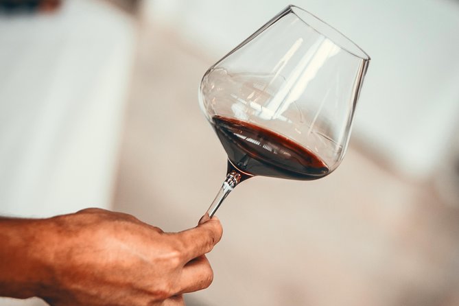 Medoc Region Wine Day Trip with Vineyard Visits & Tastings from Bordeaux - Key points before you book