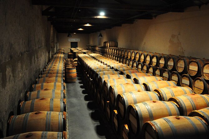 Medoc Region Wine Day Trip with Vineyard Visits & Tastings from Bordeaux - What the best guides add