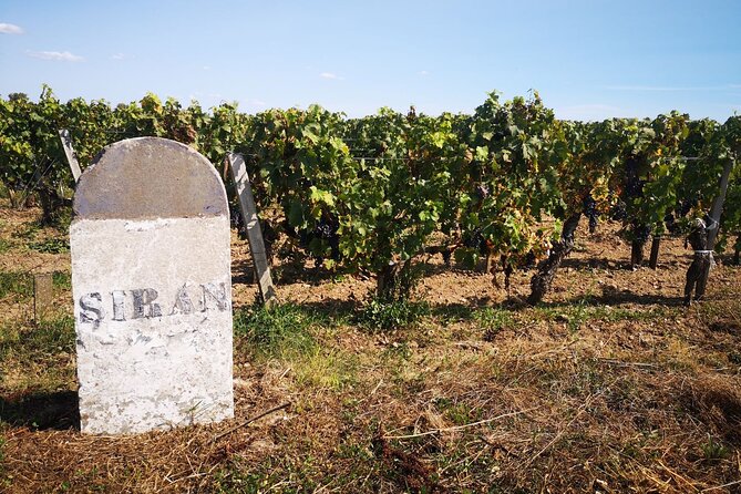Medoc Region Wine Day Trip with Vineyard Visits & Tastings from Bordeaux - Price, group size, and what you receive