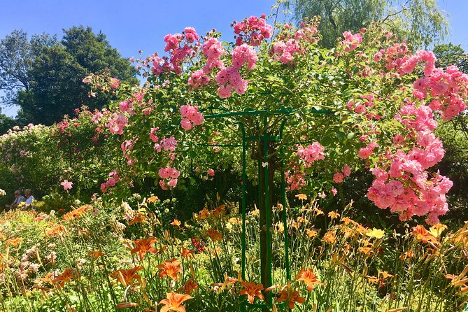 Monet's Gardens & House-Private Giverny Tour From Paris - Clos Normand and the famous lily ponds