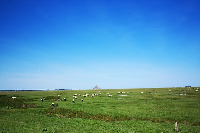 Mont Saint-Michel Day Trip from Bayeux (Shared tour) - Free time for lunch, museums, and wandering