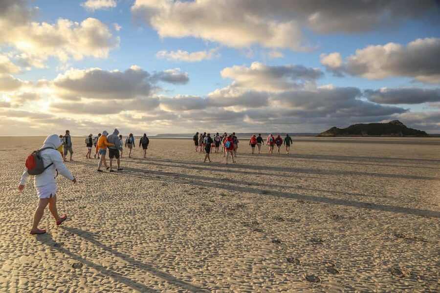 Mont-saint-Michel : Walk in the heart of the Bay - Key points at a glance