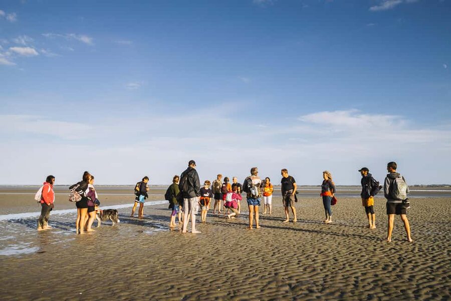 Mont-saint-Michel : Walk in the heart of the Bay - Crossing the bay barefoot