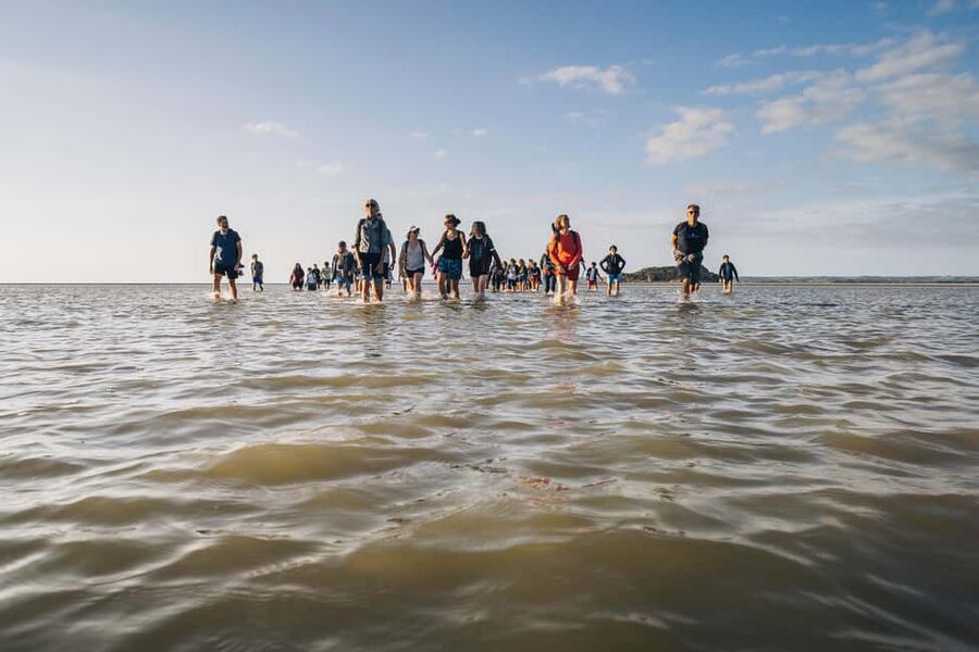 Mont-saint-Michel : Walk in the heart of the Bay - Is $29 a fair price?