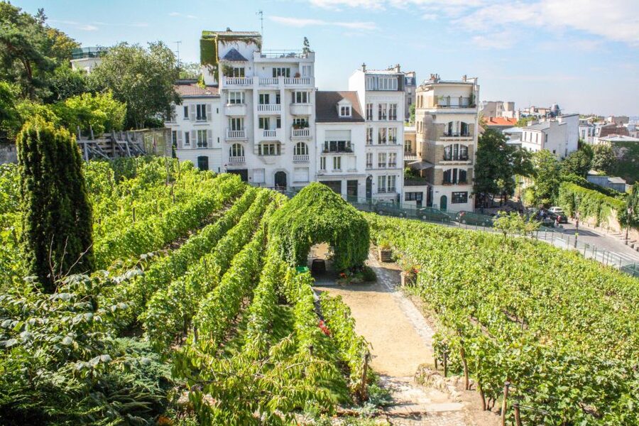 Montmartre & Sacré Coeur: 2.5-Hour Walking Tour - Place du Tertre and the working artist tradition