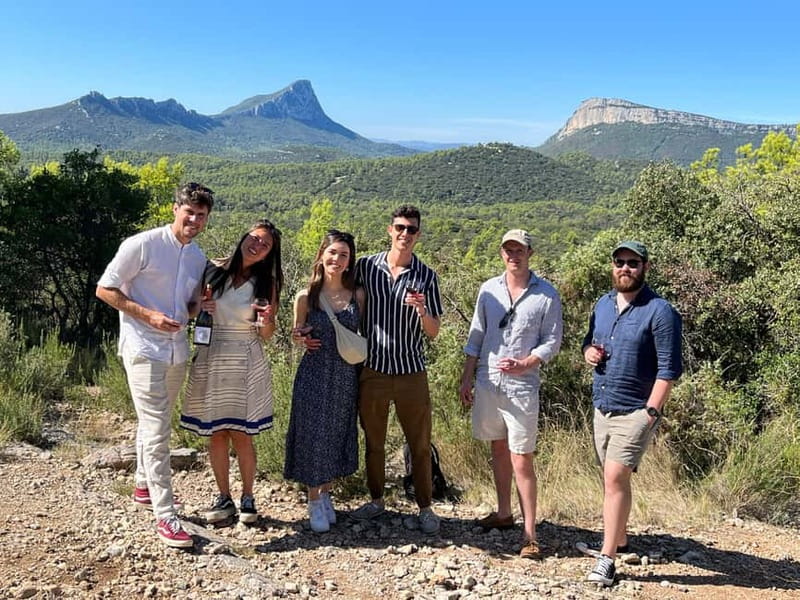 Montpellier: Pic Saint-Loup Wine Tour - Why Pic Saint-Loup makes a good half-day from Montpellier