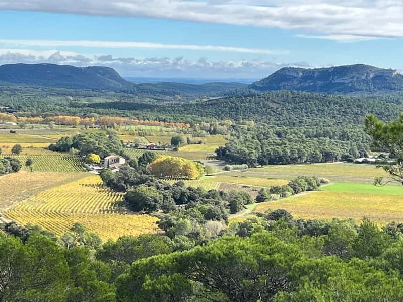 Montpellier: Pic Saint-Loup Wine Tour - Who should book this outing?