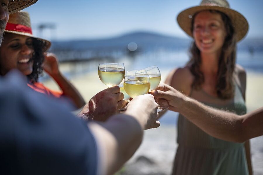 Montpellier Wine and Oyster Tour - What to know before you book