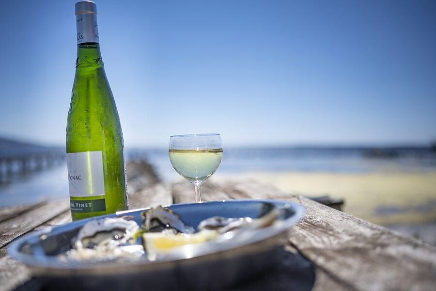 Montpellier Wine and Oyster Tour - Should you book the Montpellier Wine and Oyster Tour?