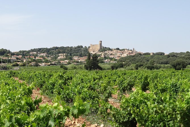 Morning Wine Tour to Chateauneuf du Pape from Avignon - The viewpoint above the village