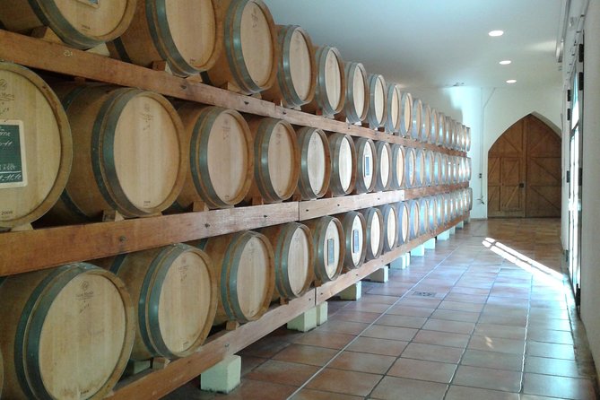 Morning Wine Tour to Chateauneuf du Pape from Avignon - The morning schedule and your day in Avignon