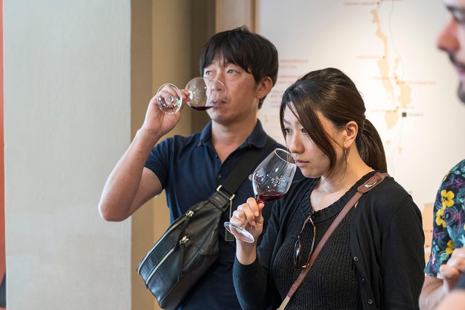 Morning Wine Tour to Chateauneuf du Pape from Avignon - What you will taste and learn
