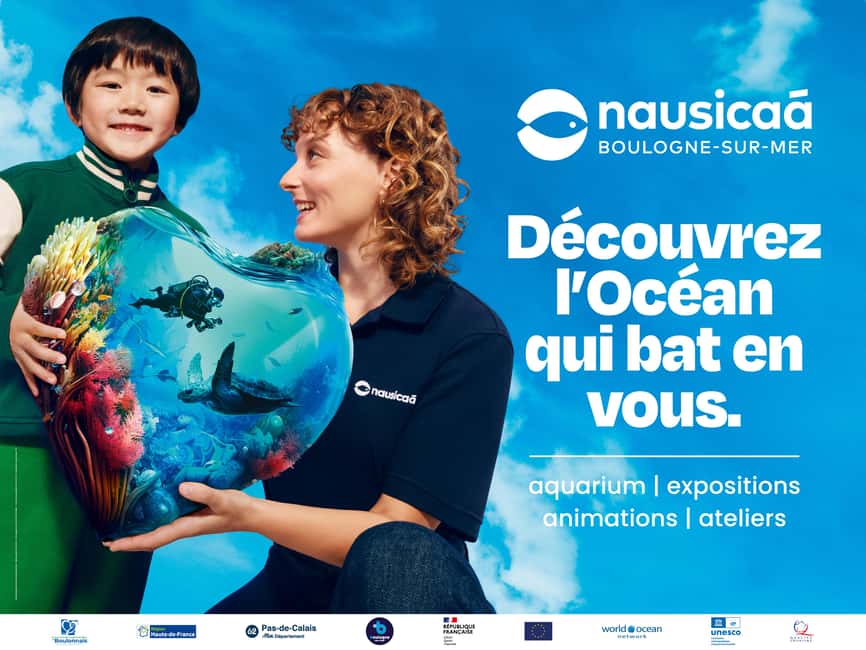 Nausicaá National Sea Center: Full-Day Entry Ticket - Why Nausicaá feels bigger than a normal aquarium