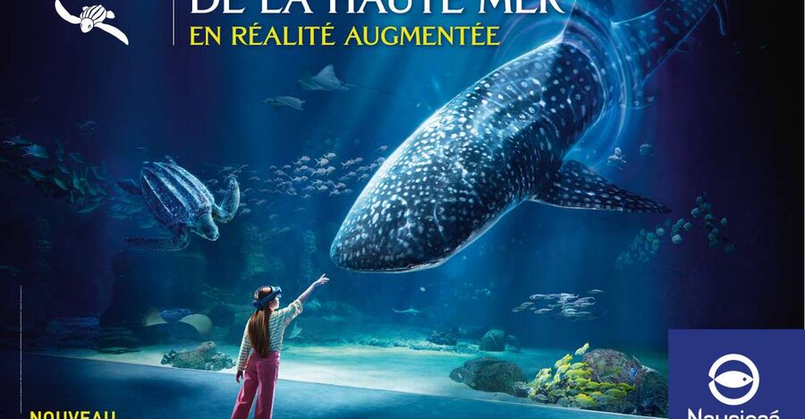 Nausicaá National Sea Center: Full-Day Entry Ticket - The animals that make the visit memorable