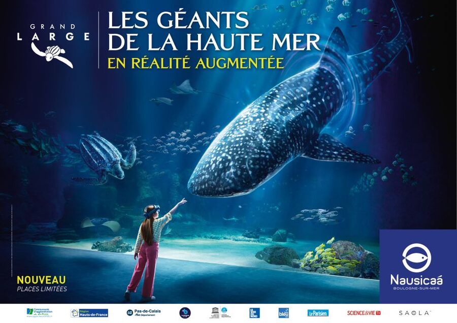 Nausicaá National Sea Center: Full-Day Entry Ticket - Three exhibitions, three ways to see the sea