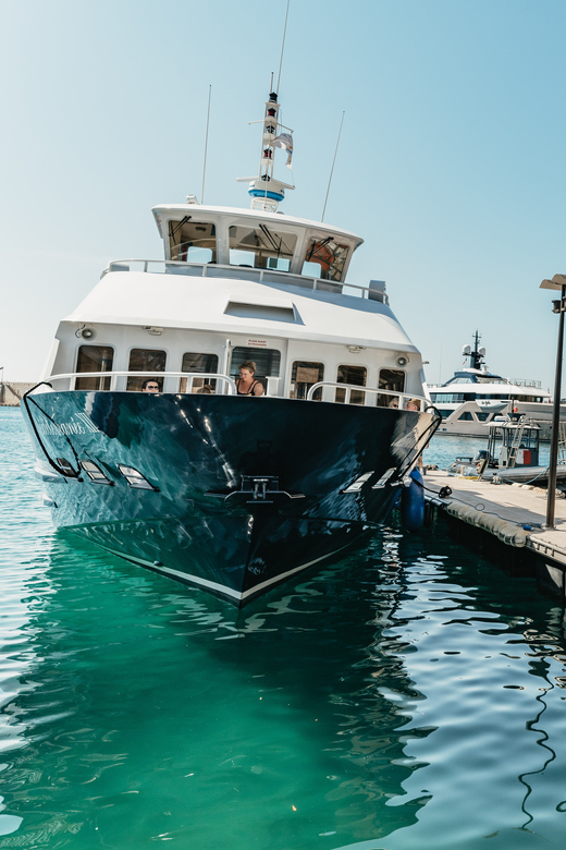 Nice: 1-Hour Sightseeing Cruise to Villefranche Bay - Key points to know before booking