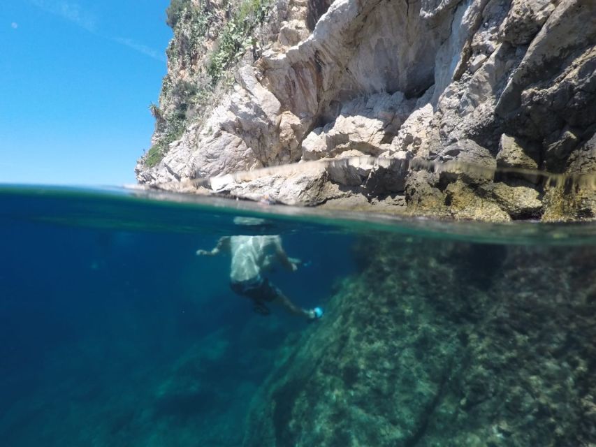 Nice: 1h30 nautical excursion to Cap Ferrat - Key points to know before booking